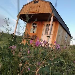 Montana Old West Cabins Guest House Babb Eksteriør bilde